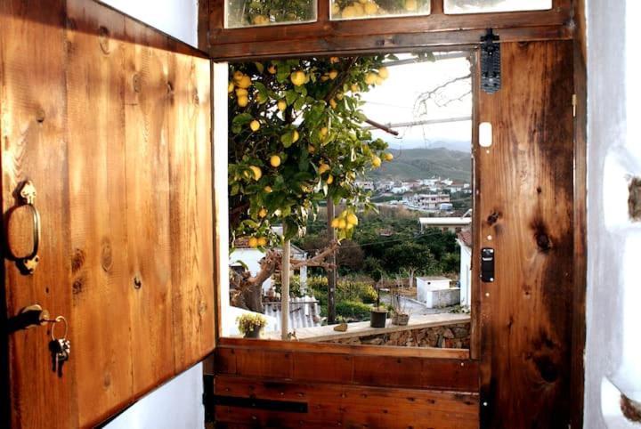 Agia  Afrodite'S House-Restaurated Oil Factory מראה חיצוני תמונה