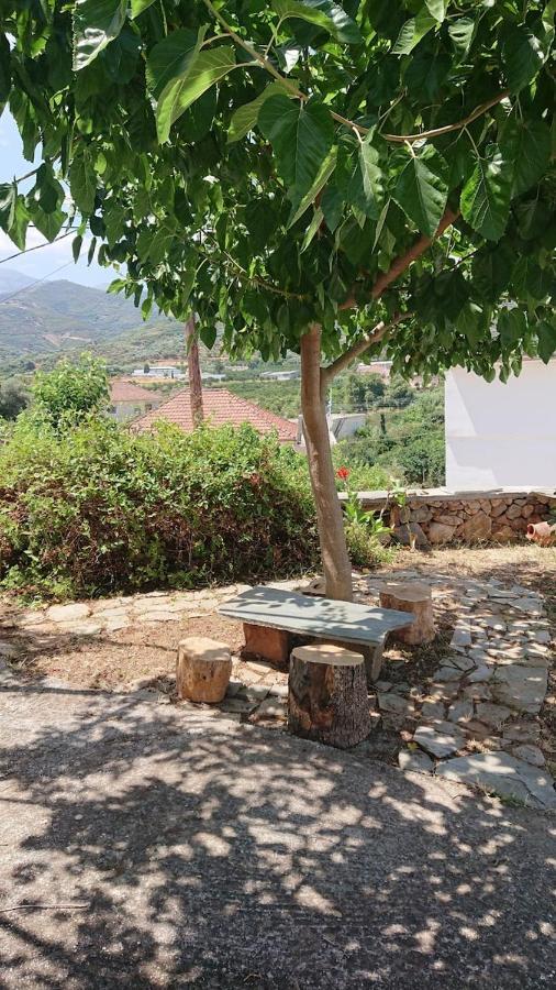 Agia  Afrodite'S House-Restaurated Oil Factory מראה חיצוני תמונה